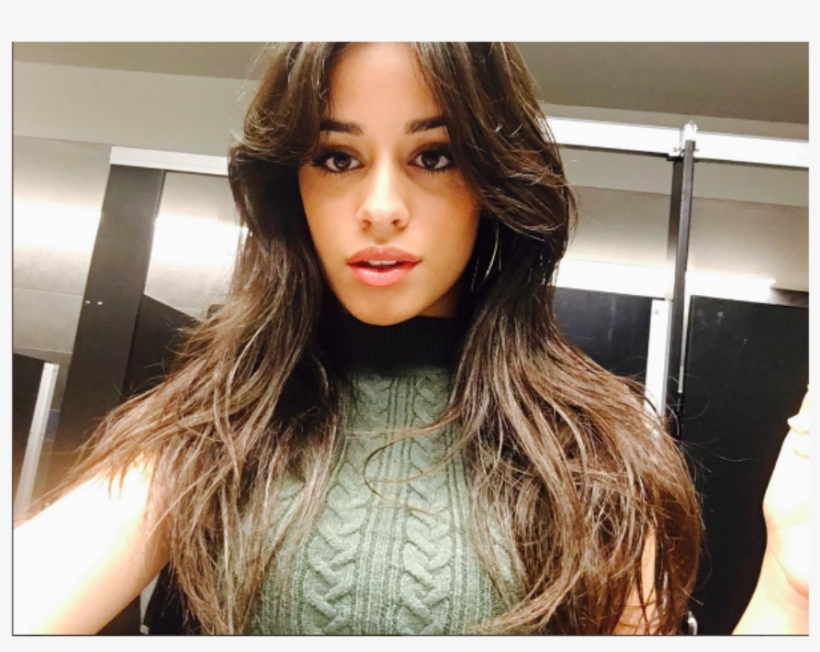 Camila Cabello, Ex-fifth Harmony, Confessa Que Chorou - Lamorne Morris And Erin, transparent png download