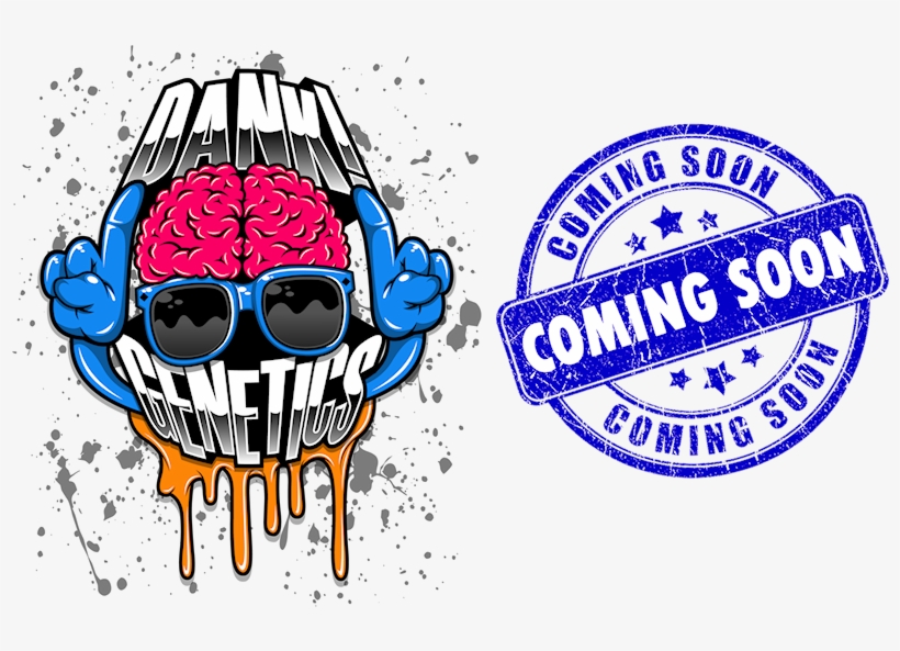 Elf Coming Soon, transparent png download