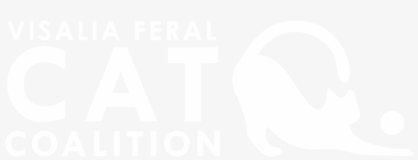 Visalia Feral Cat Coalition - Pameran Otomotif Makassar 2015, transparent png download