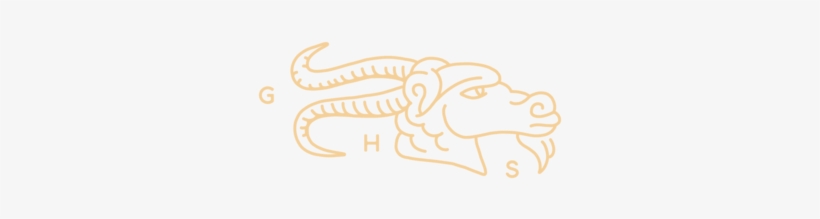 Ghs T 35 - Bull, transparent png download