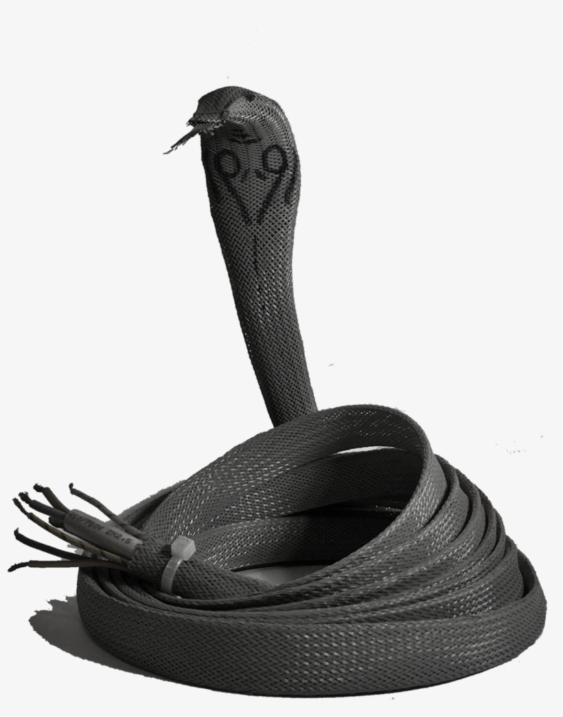 Cobra - Indian Cobra, transparent png download