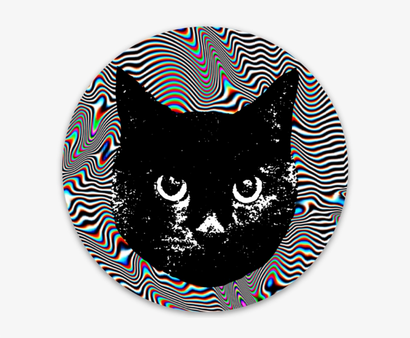 Darla Trippy - Cat Glitch, transparent png download
