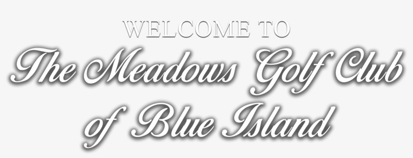 Book Online Now Prevnext - Calligraphy, transparent png download