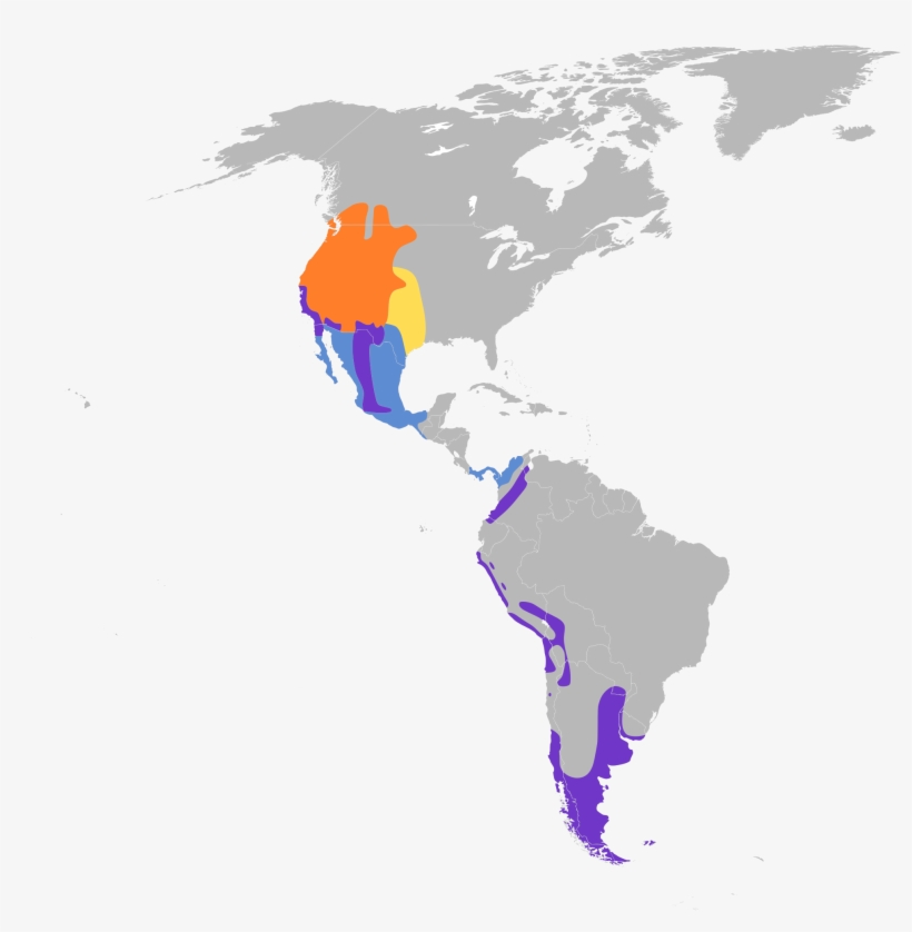 Open - Argentina Monthly Median Salary, transparent png download