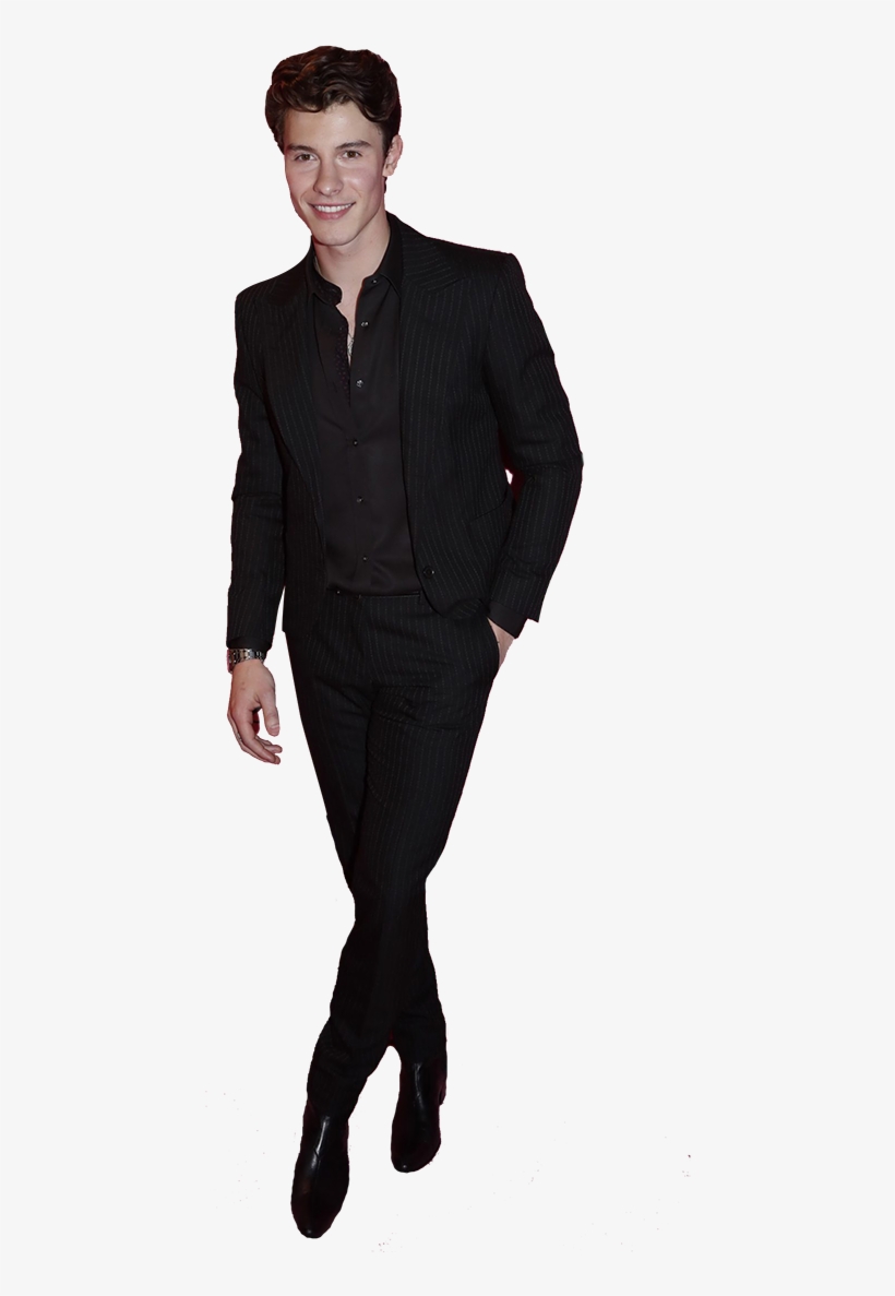 Klatsqb Dhgsfsghgfhuyt - Shawn Mendes Suit Png, transparent png download