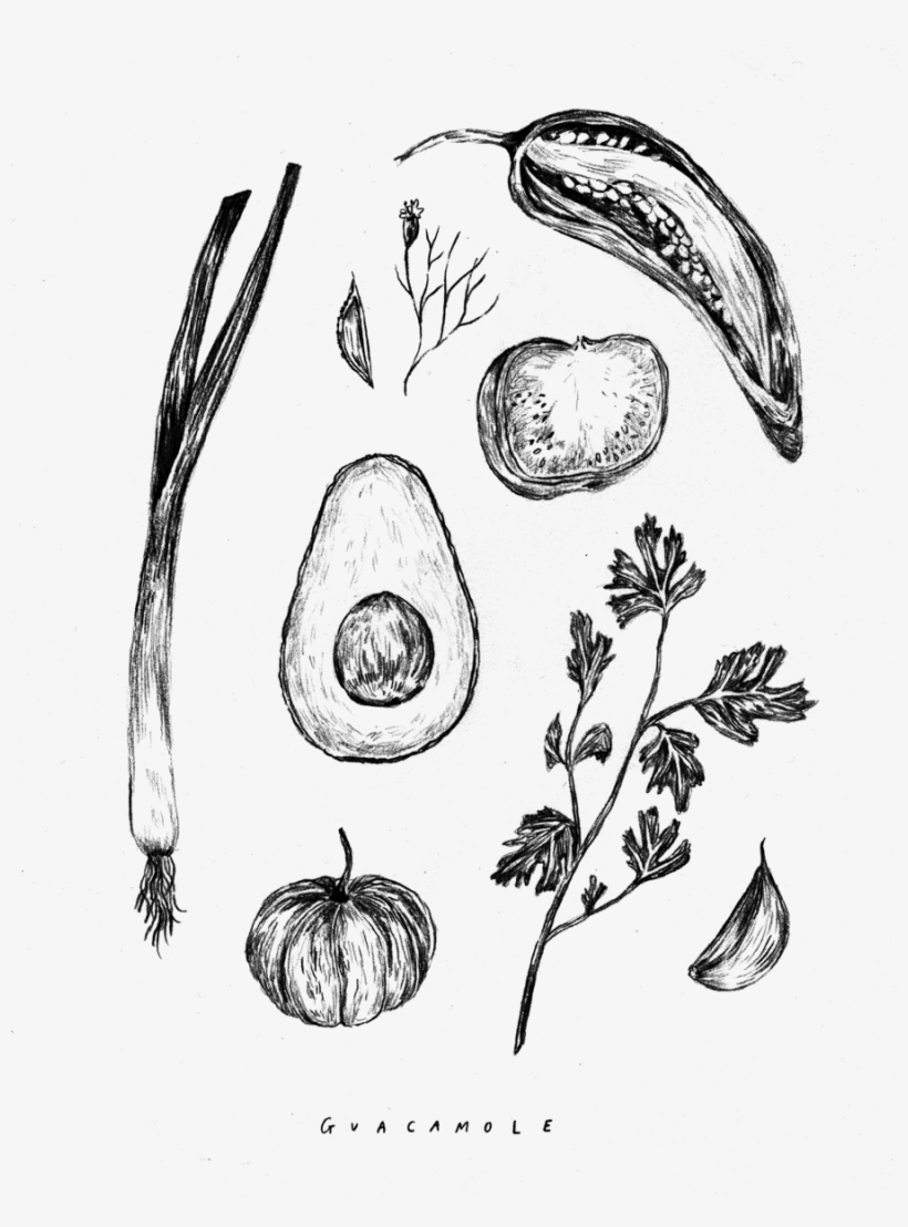 Guacamole - Sketch, transparent png download