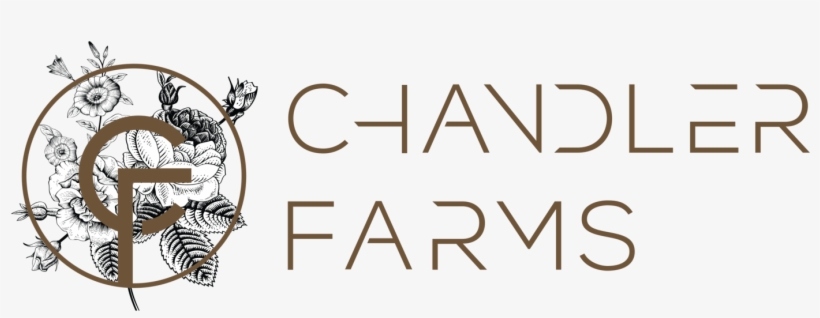 Image Free Download Chandler Farms Comchandler Com - Hornet, transparent png download