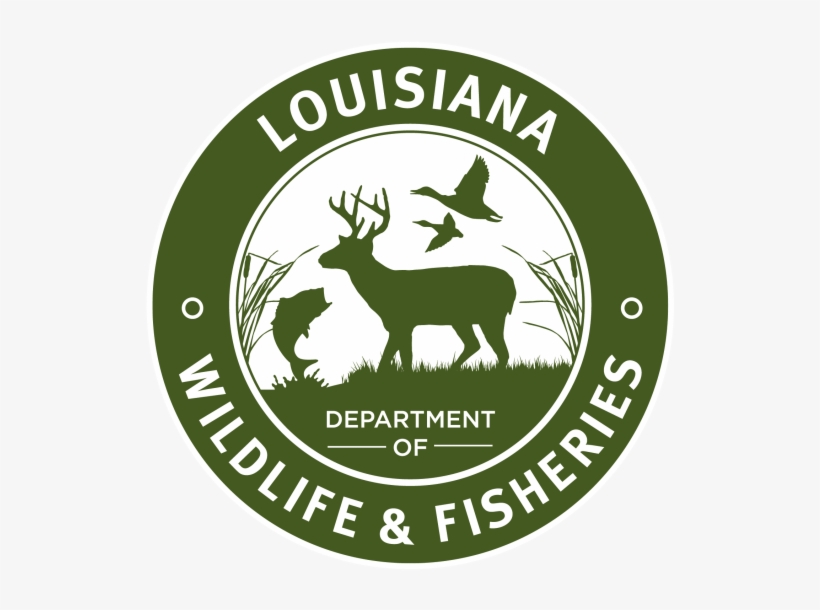 Louisiana Department Of Wildlife And Fisheries, transparent png download