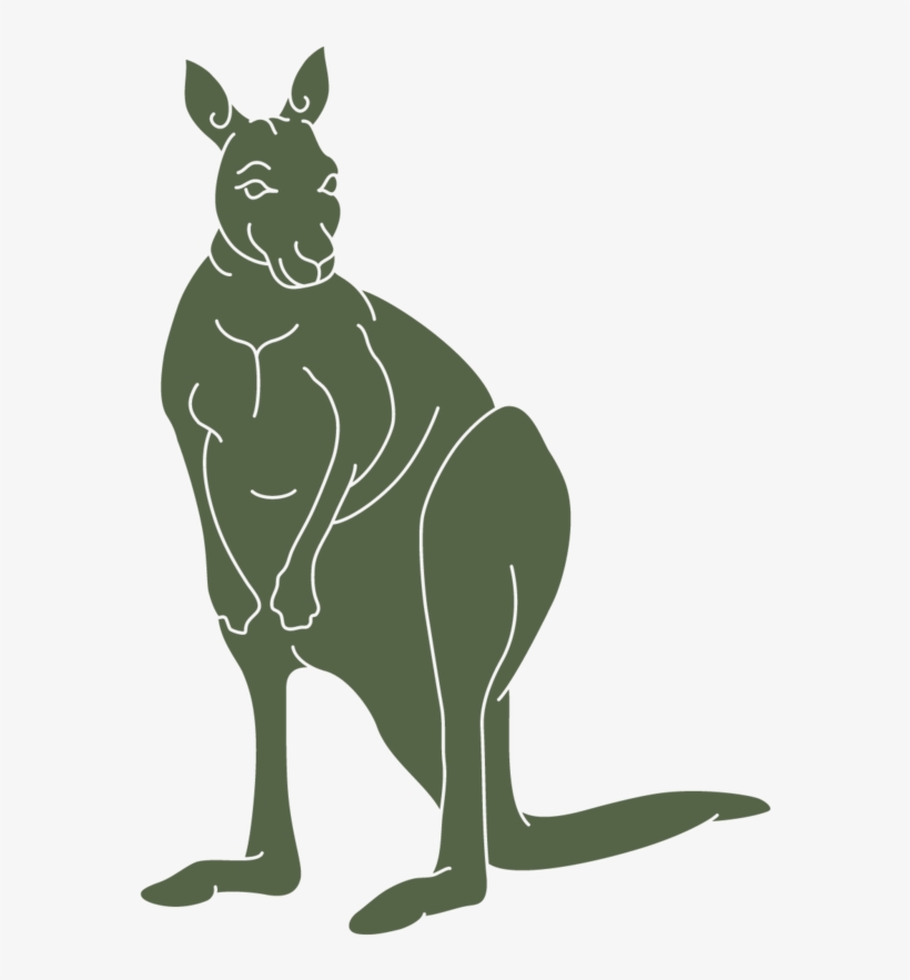 Kangaroo, transparent png download
