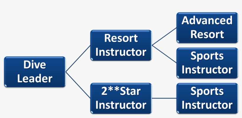 Sports Pro Intro Chart - Printing, transparent png download