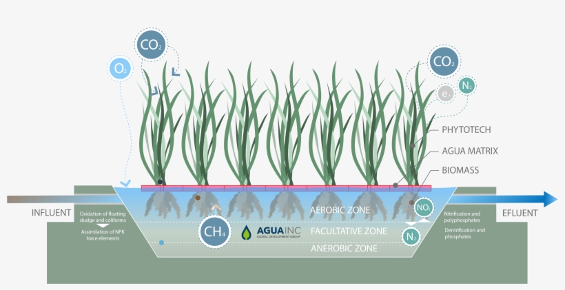 Agua Inc Graphics - Diagram, transparent png download