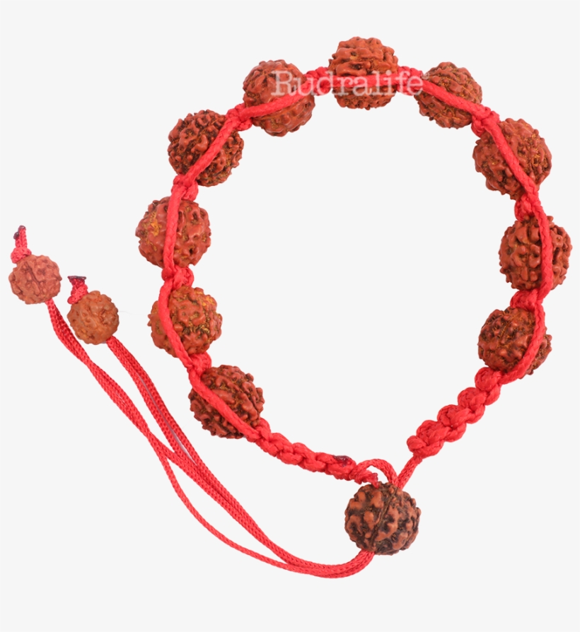 Panchmukhi-rudraksha - Pulseras De Hilo Png, transparent png download
