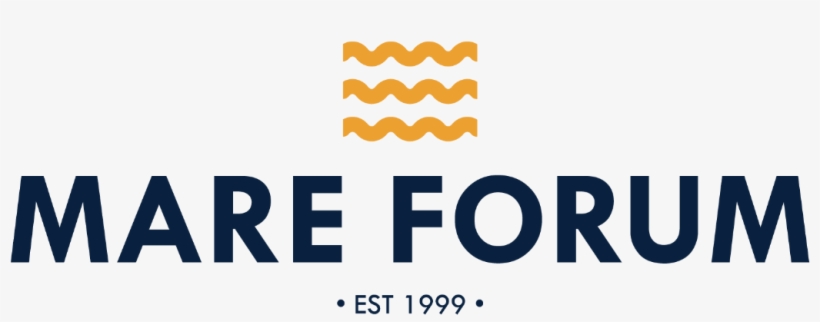 5th Mare Forum Singapore - Parallel, transparent png download