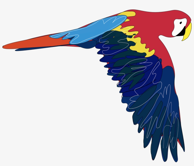 Parrot Clip Art, transparent png download