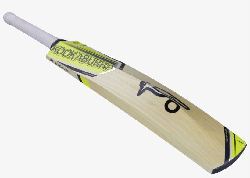 Cricket, transparent png download