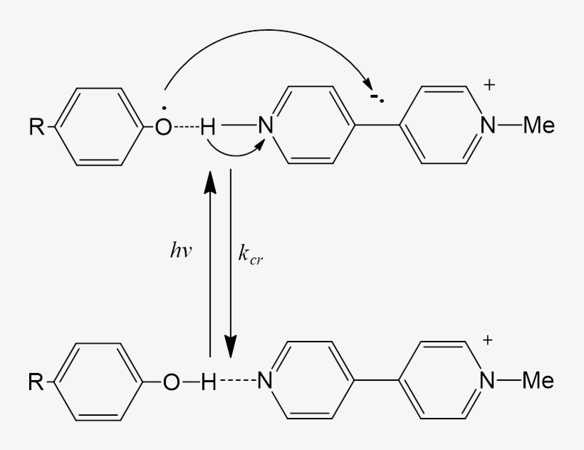 Photo Electron Proton Transfer With P Meoh Aroh And - Diagram, transparent png download