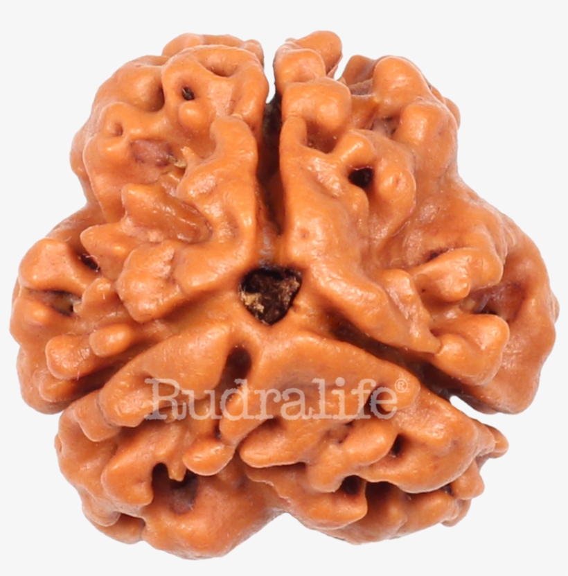 Click To Zoom - Chocolate, transparent png download