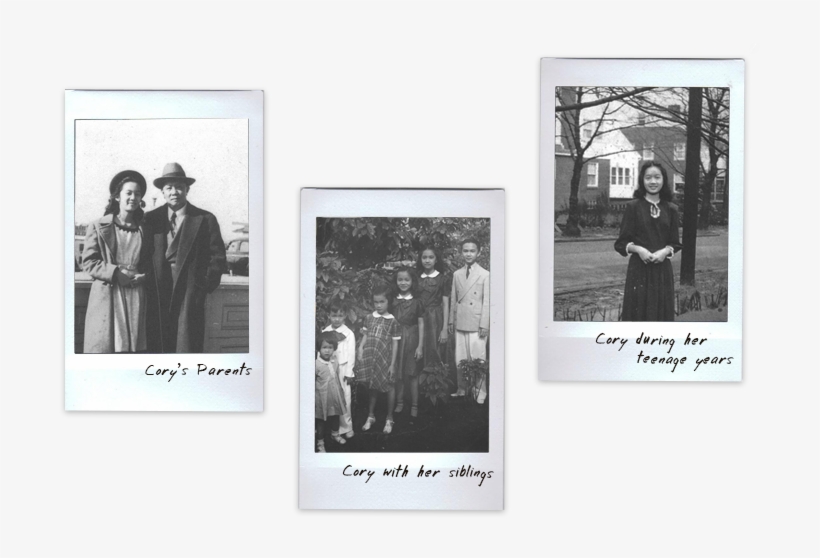 In This Light, We Hope To Ask, transparent png download