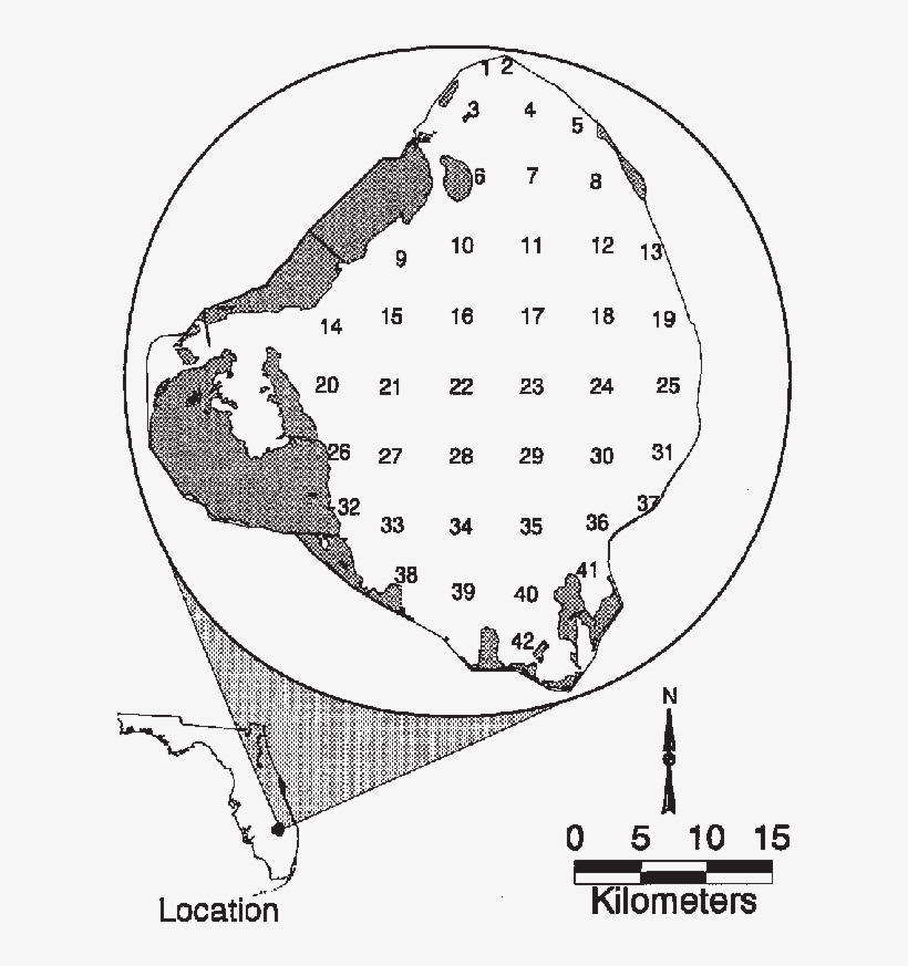 Map Of Lake Okeechobee, Florida, Usa, Showing The Locations - Drawing, transparent png download