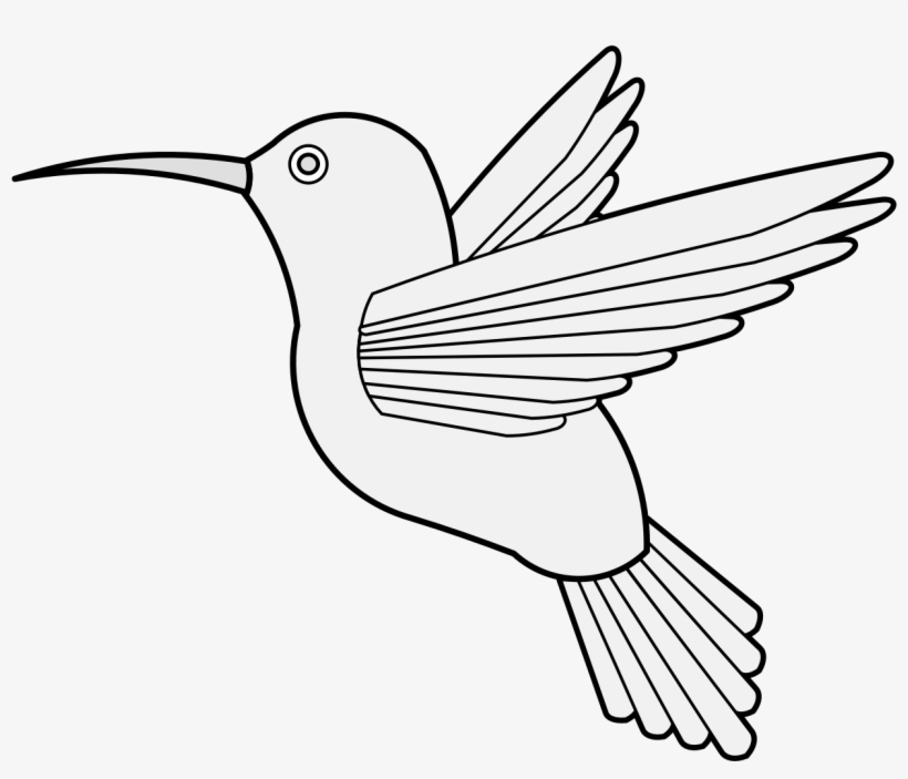 Details, Png - Ruby-throated Hummingbird, transparent png download