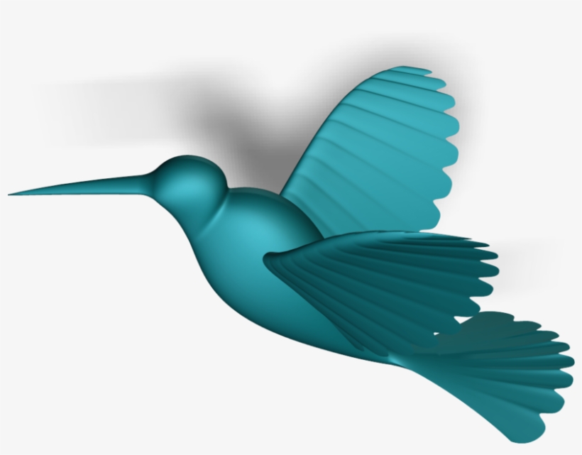 Png Transparent Download D Cad Model Library Grabcad - Hummingbird Model, transparent png download