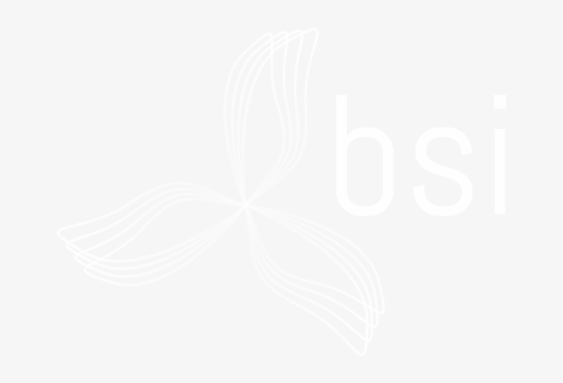 Bsicr - Twitter White Bird Logo, transparent png download