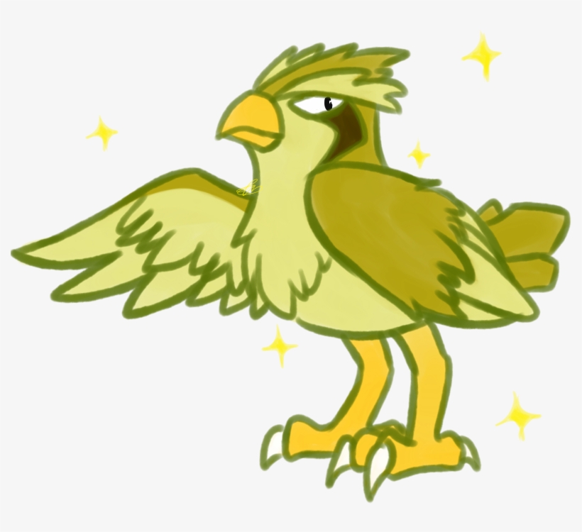 I've Never Drawn A Pidgey Before And The Longer- - Parrot, transparent png download