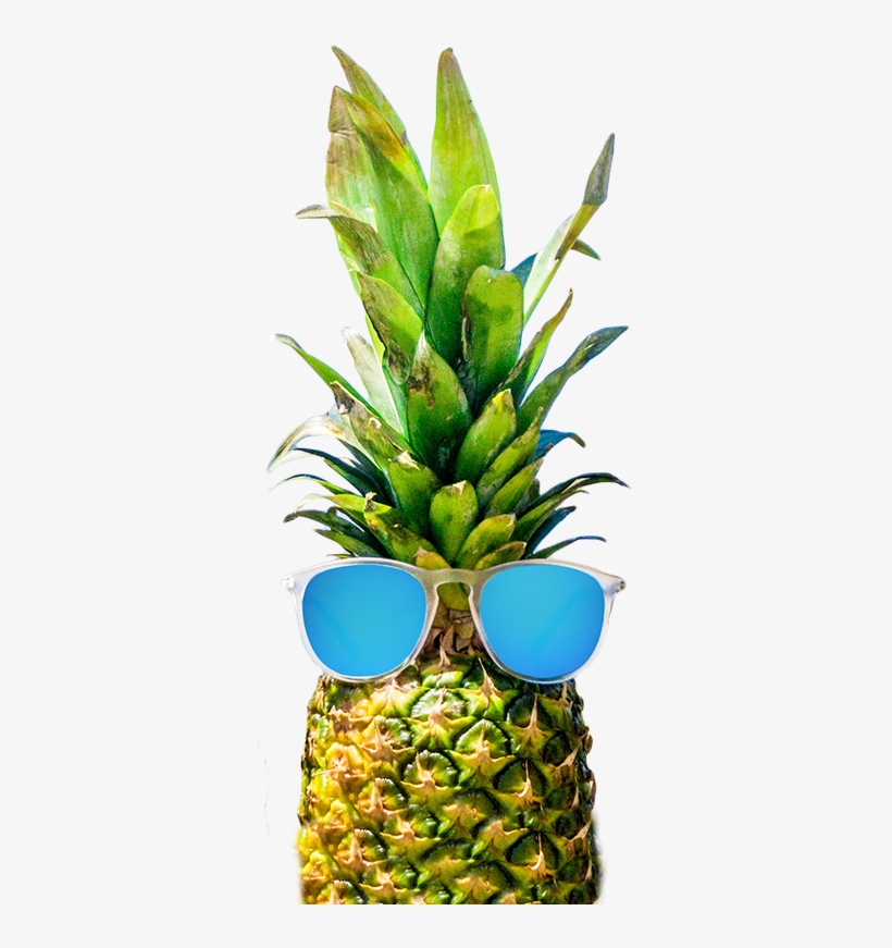 Classic Sunglasses Round Sunglasses Kids Sunglasses - Pineapple, transparent png download