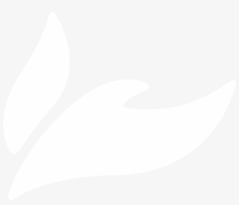 Wesleyan Dove - Wesleyan Church, transparent png download