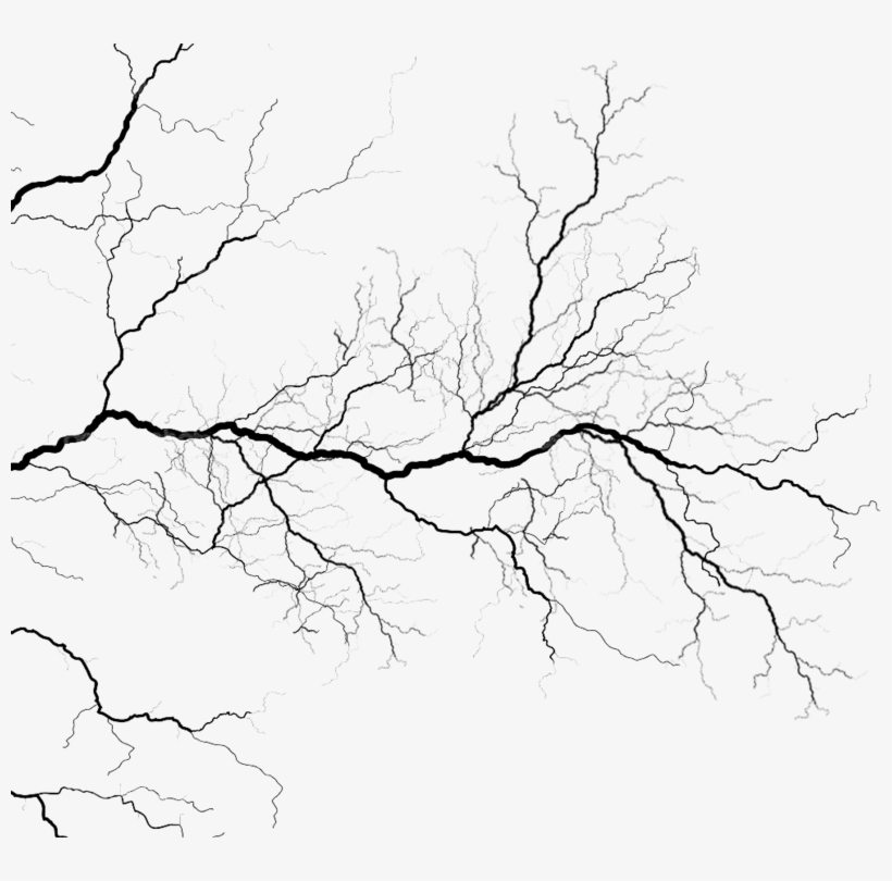 This Png File Is About Veins - Veins Png, transparent png download