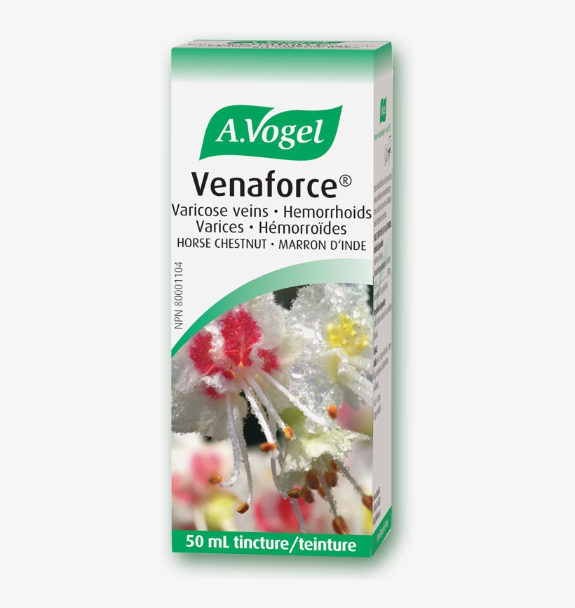 Extract Of Fresh Horse Chestnut Seed Tincture - Vogel Horse Chestnut, transparent png download