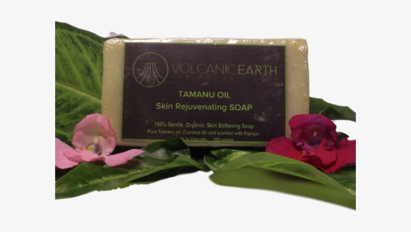 Tamanu Oil Soap - Tamanu Oil, transparent png download