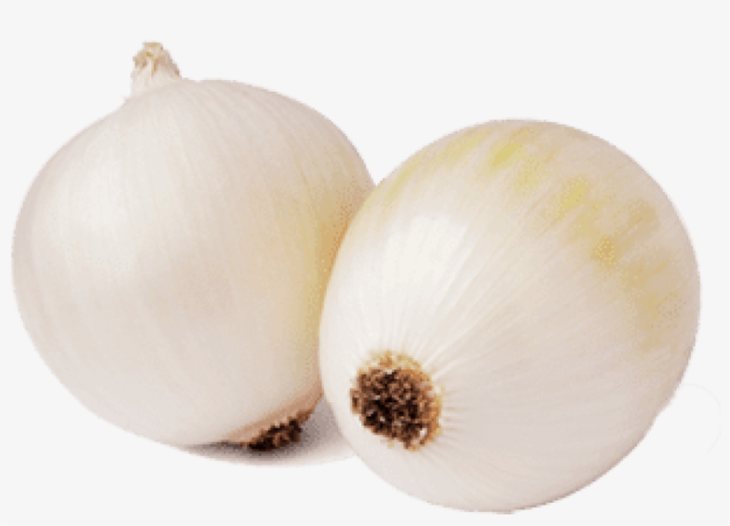 Free Png Download Elephant Garlic Png Images Background - Elephant Garlic, transparent png download