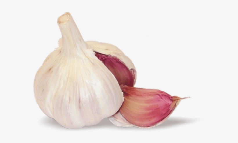 Garlic Png Transparent Images - Ajo Png, transparent png download