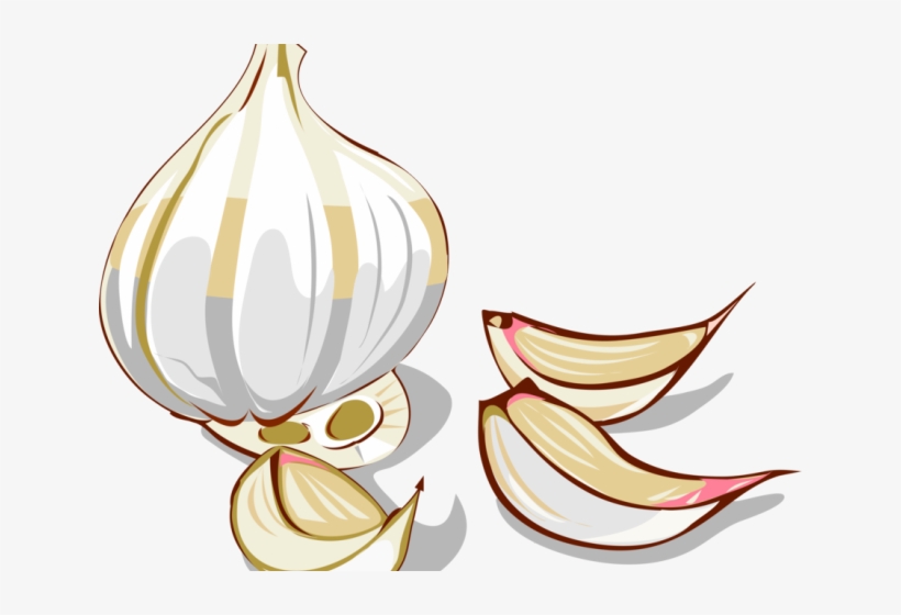 Garlic Clipart Garlic Clove - Clove Of Garlic Clipart, transparent png download