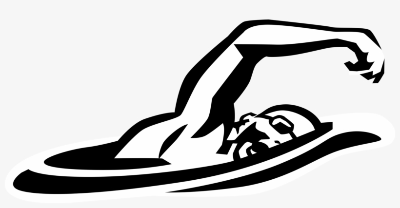 Vector Illustration Of Swimmer Swims Breaststroke In - Nadador Vetor, transparent png download