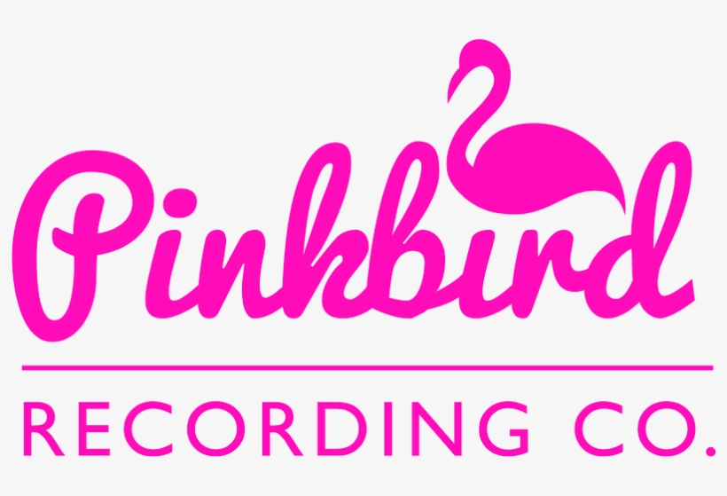 Pinkbird Recording Co - Calligraphy, transparent png download