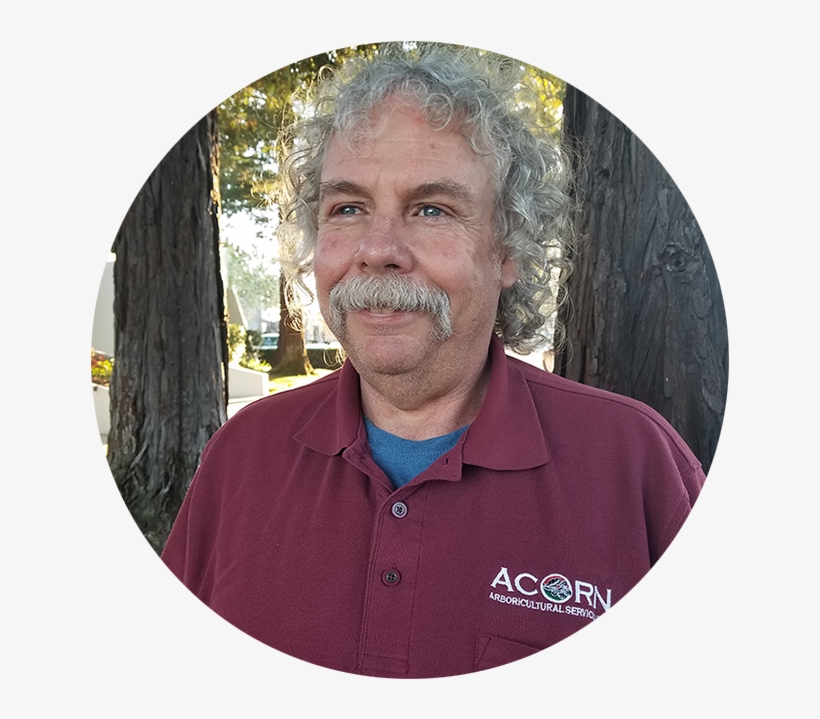 Acorn Arboricultural Services - Senior Citizen, transparent png download