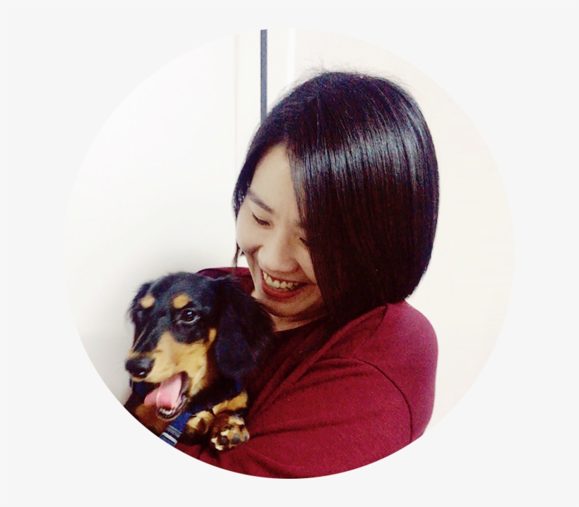 Kim Seul-gi / Public Relations Director - Companion Dog, transparent png download