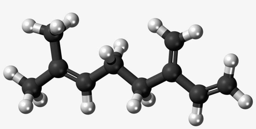 Beta-myrcene Molecule Ball - Volatile Organic Compounds Molecule, transparent png download