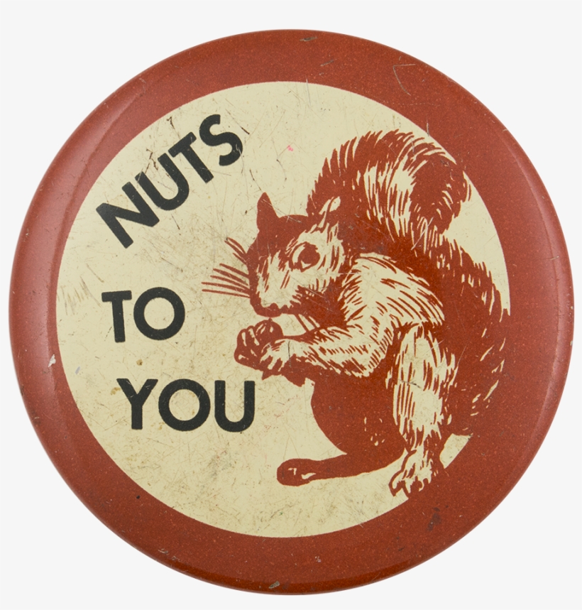 Nuts To You Social Lubricator Button Museum - Eurasian Red Squirrel, transparent png download