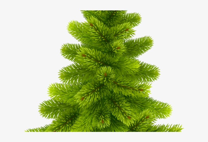 Christmas Ribbon Clipart Pine - Christmas Tree Clipart Vector Free, transparent png download
