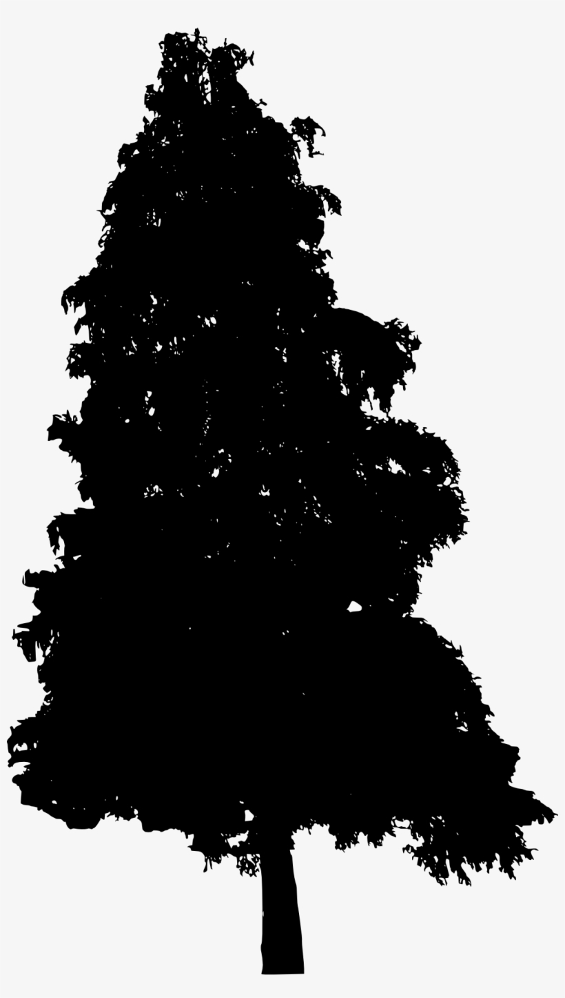 Picture Library Stock Pine Tree Silhouette Png Transparent - Portable Network Graphics, transparent png download