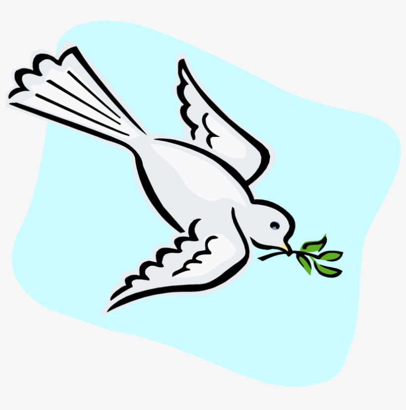 Dove - Pigeons And Doves, transparent png download