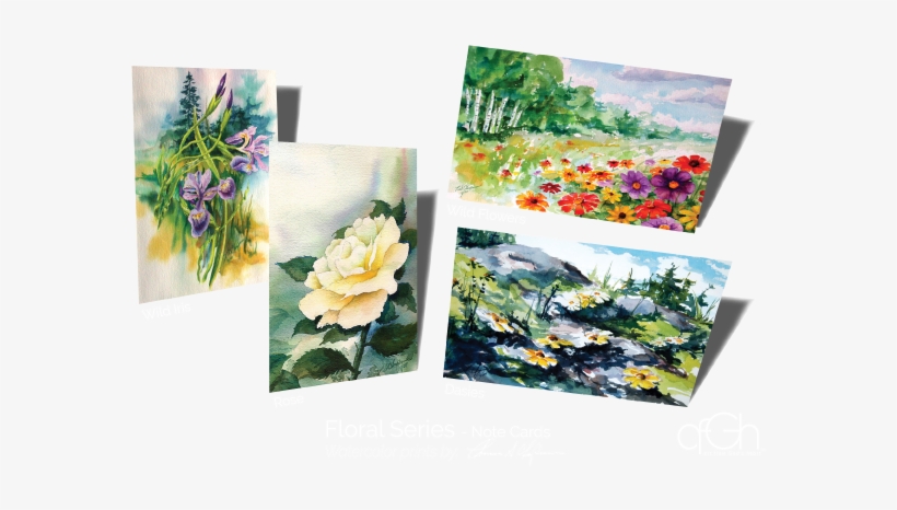 Common Peony, transparent png download