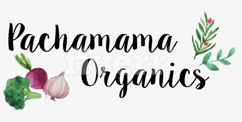 Elephant Garlic, transparent png download