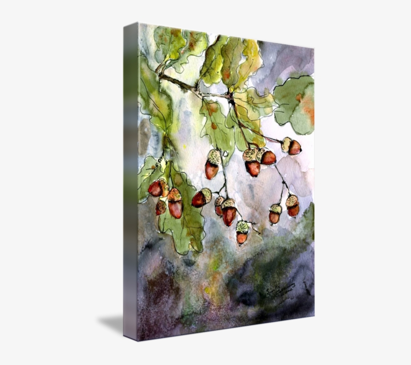 #acorn Watercolor By Ginette Callaway - Watercolor Of Oak Tree Leaves, transparent png download