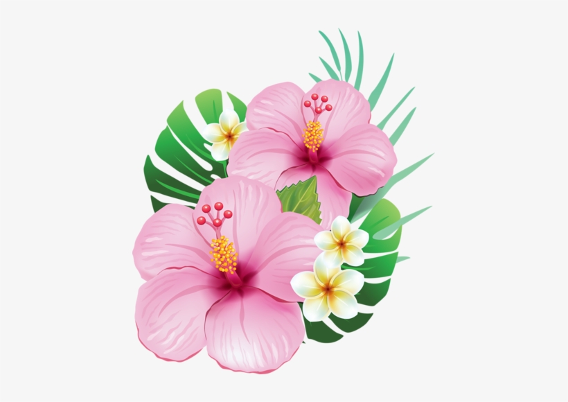 Vector Free Cc Cd B F A L - Hibiscus Flowers, transparent png download