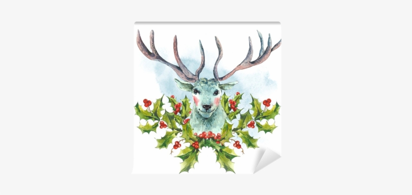Watercolor Greeting Card, Snow White Deer With Holly - Greeting Card, transparent png download