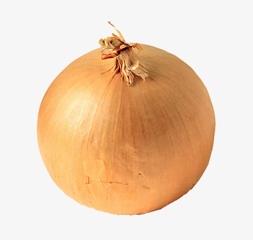Onion Png Image, Free Download Picture - Onion Transparent, transparent png download